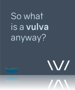 So_what_is_a_vulva_anyway_cover_770x767.png